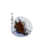 猫がいっぱい。（個別スタンプ：31）