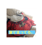 ヨーキー☆コロン☆今日のスタンプ(vol.1)（個別スタンプ：13）