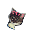 ぐーたらソウタ（個別スタンプ：1）