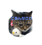 ぐーたらソウタ（個別スタンプ：6）