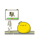 こちひよスタンプ TCG編（個別スタンプ：1）