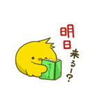 こちひよスタンプ TCG編（個別スタンプ：30）