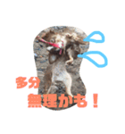 秋男とmomonaのスタンプ2（個別スタンプ：5）