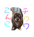 秋男とmomonaのスタンプ2（個別スタンプ：6）