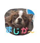 秋男とmomonaのスタンプ2（個別スタンプ：7）
