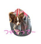 秋男とmomonaのスタンプ2（個別スタンプ：8）