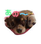 秋男とmomonaのスタンプ2（個別スタンプ：14）