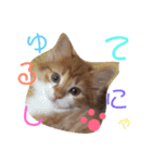 秋男とmomonaのスタンプ2（個別スタンプ：16）