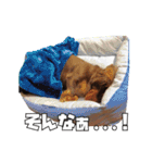 レオスタンプ第二弾（個別スタンプ：3）