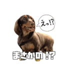 レオスタンプ第二弾（個別スタンプ：4）