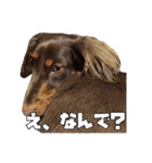 レオスタンプ第二弾（個別スタンプ：5）