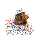 レオスタンプ第二弾（個別スタンプ：6）