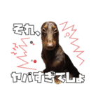 レオスタンプ第二弾（個別スタンプ：7）