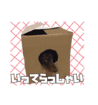 レオスタンプ第二弾（個別スタンプ：9）