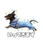レオスタンプ第二弾（個別スタンプ：10）