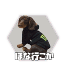 レオスタンプ第二弾（個別スタンプ：11）