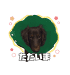 レオスタンプ第二弾（個別スタンプ：12）