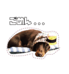 レオスタンプ第二弾（個別スタンプ：16）