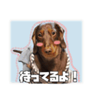 レオスタンプ第二弾（個別スタンプ：18）