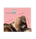 レオスタンプ第二弾（個別スタンプ：19）