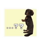 レオスタンプ第二弾（個別スタンプ：20）