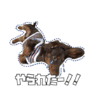 レオスタンプ第二弾（個別スタンプ：22）