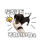 レオスタンプ第二弾（個別スタンプ：23）