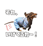 レオスタンプ第二弾（個別スタンプ：24）