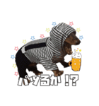 レオスタンプ第二弾（個別スタンプ：25）