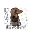 レオスタンプ第二弾（個別スタンプ：26）