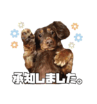 レオスタンプ第二弾（個別スタンプ：27）