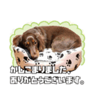 レオスタンプ第二弾（個別スタンプ：28）