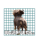 レオスタンプ第二弾（個別スタンプ：29）