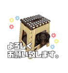 レオスタンプ第二弾（個別スタンプ：30）