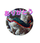 可愛いウミウシたちとの日常会話（個別スタンプ：1）