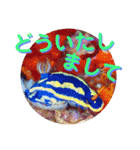 可愛いウミウシたちとの日常会話（個別スタンプ：5）