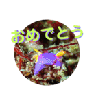 可愛いウミウシたちとの日常会話（個別スタンプ：18）
