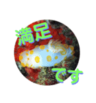 可愛いウミウシたちとの日常会話（個別スタンプ：22）