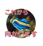 可愛いウミウシたちとの日常会話（個別スタンプ：26）