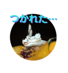 可愛いウミウシたちとの日常会話（個別スタンプ：38）