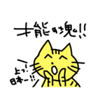 やたらとほめる猫（個別スタンプ：19）