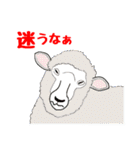 だじゃれる動物たち（個別スタンプ：8）