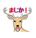 だじゃれる動物たち（個別スタンプ：21）