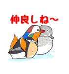 だじゃれる動物たち（個別スタンプ：37）