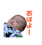 ちゃーくん1（個別スタンプ：13）