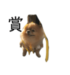 犬の日常（中国へいか）（個別スタンプ：8）
