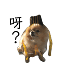 犬の日常（中国へいか）（個別スタンプ：12）