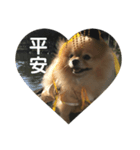 犬の日常（中国へいか）（個別スタンプ：13）