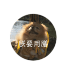 犬の日常（中国へいか）（個別スタンプ：18）