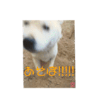家族の軌跡 九 空（個別スタンプ：6）
